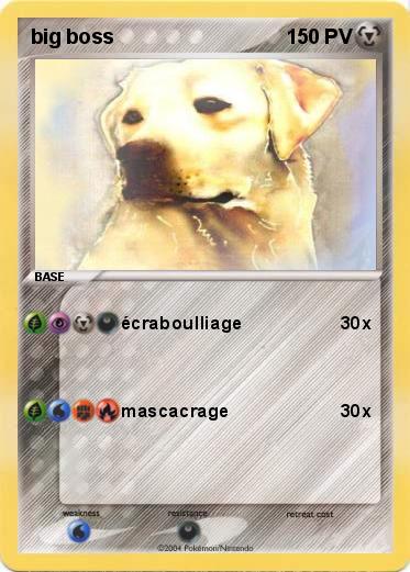 Pokemon big boss