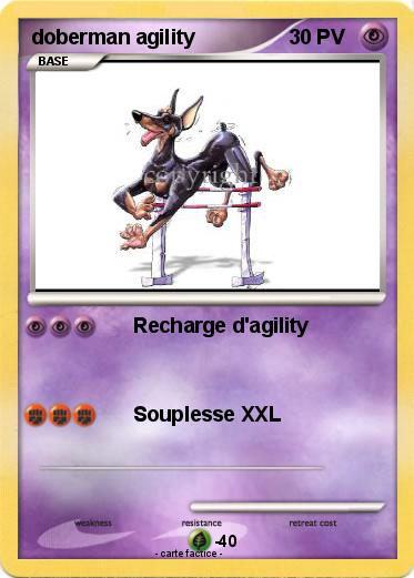 Pokemon doberman agility