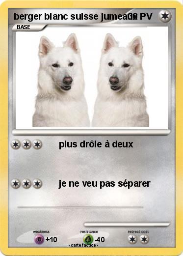 Pokemon berger blanc suisse jumeaux