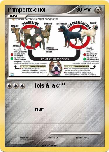 Pokemon n'importe-quoi