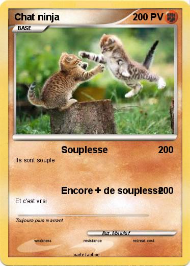 Pokemon Chat ninja