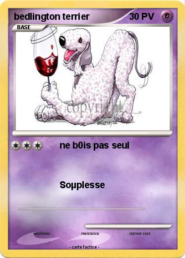 Pokemon bedlington terrier