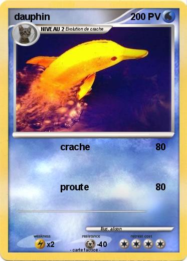 Pokemon dauphin