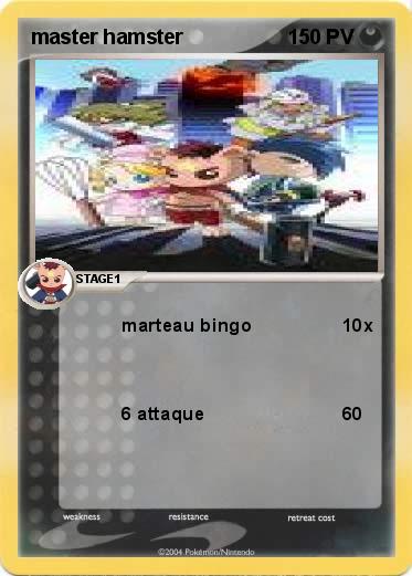 Pokemon master hamster