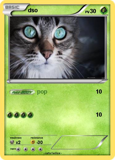 Pokemon dso