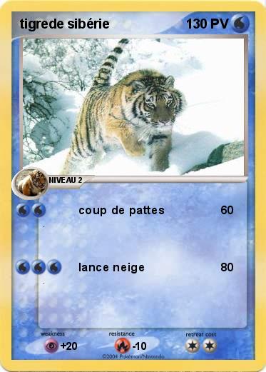 Pokemon tigrede sibérie