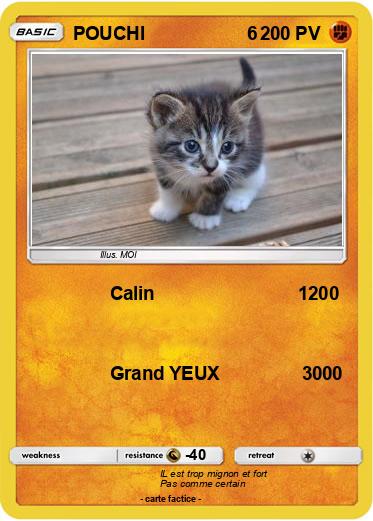 Pokemon POUCHI                    6