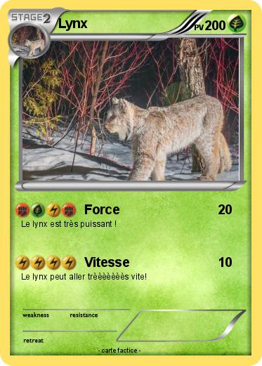 Pokemon Lynx