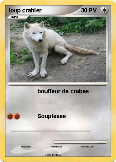 Pokemon loup crabier