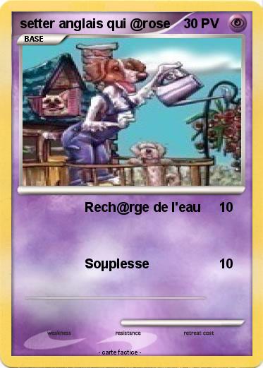 Pokemon setter anglais qui @rose