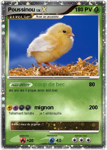 Pokemon Poussinou