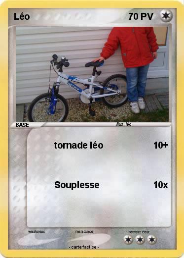 Pokemon Léo