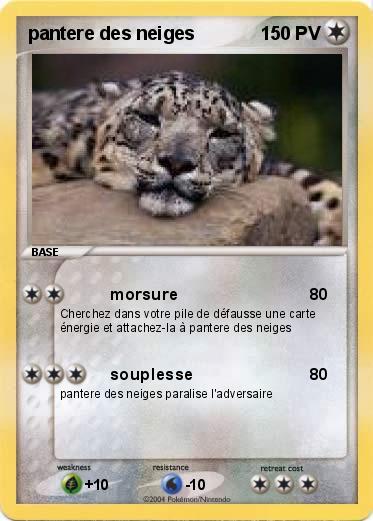 Pokemon pantere des neiges