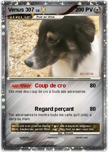 Pokemon Venus 307