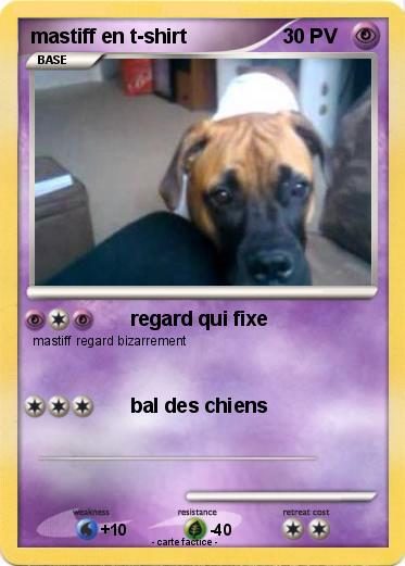 Pokemon mastiff en t-shirt