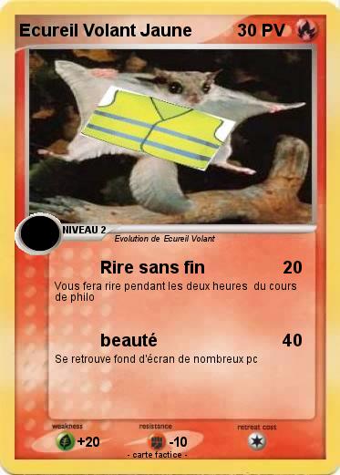 Pokemon Ecureil Volant Jaune