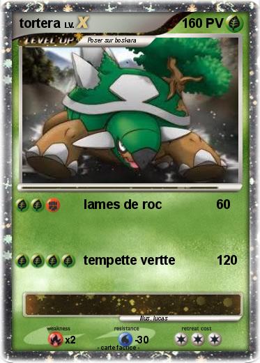 Pokemon tortera