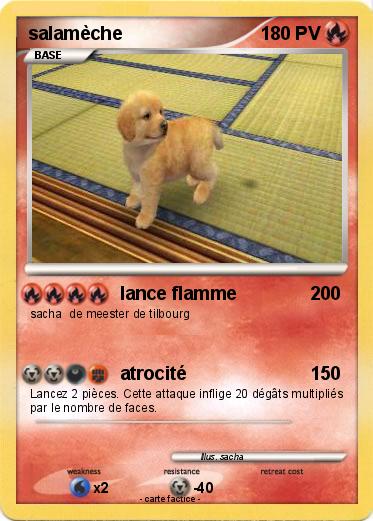 Pokemon salamèche