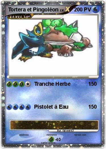 Pokemon Tortera et Pingoléon