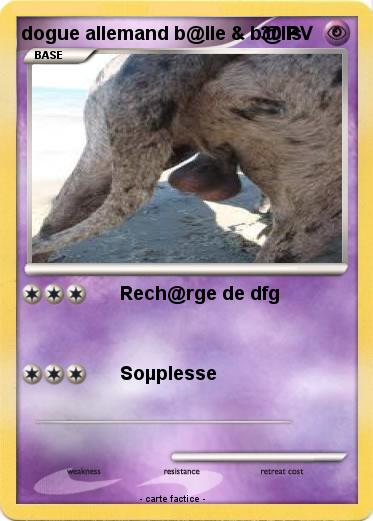 Pokemon dogue allemand b@lle & b@lls