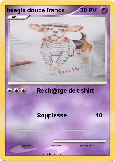 Pokemon beagle douce france