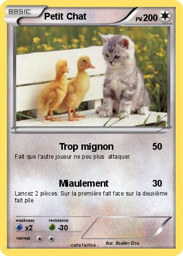 Pokemon Petit Chat