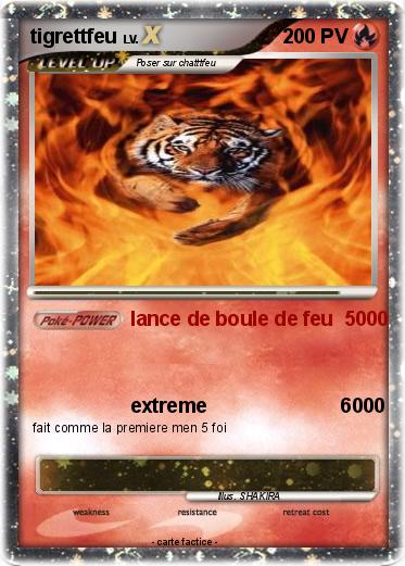 Pokemon tigrettfeu
