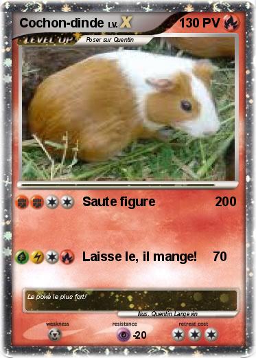 Pokemon Cochon-dinde