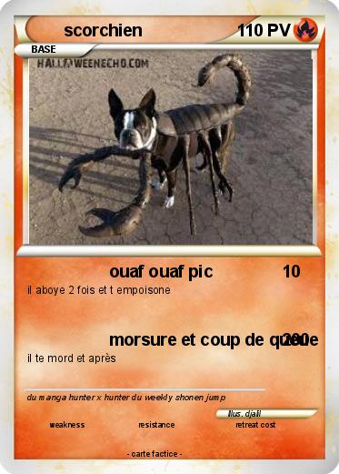 Pokemon scorchien
