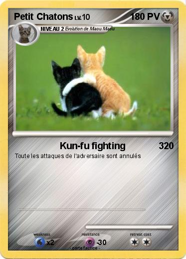 Pokemon Petit Chatons