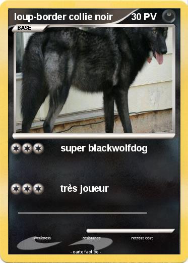 Pokemon loup-border collie noir