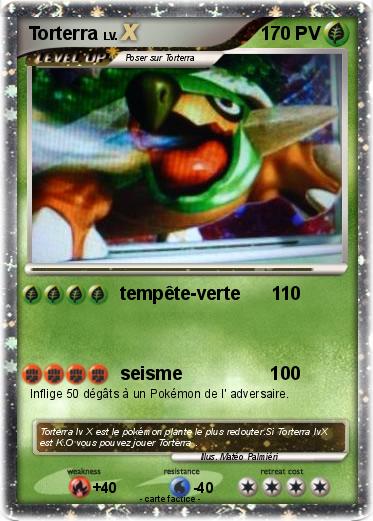 Pokemon Torterra