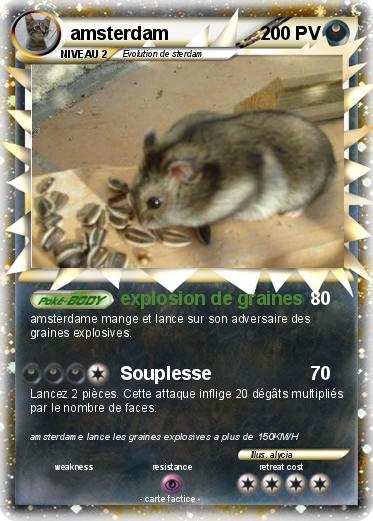 Pokemon amsterdam