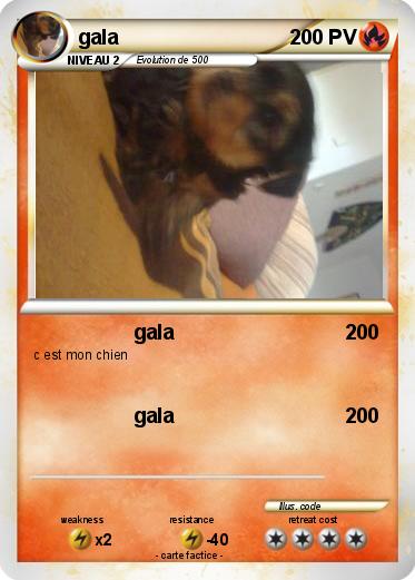 Pokemon gala