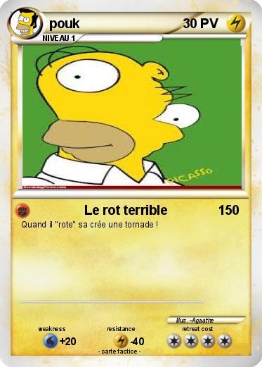 Pokemon pouk