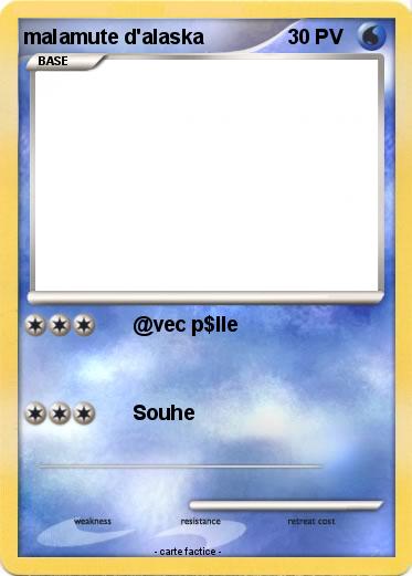 Pokemon malamute d'alaska