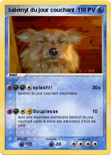 Pokemon baleinyt du jour couchant