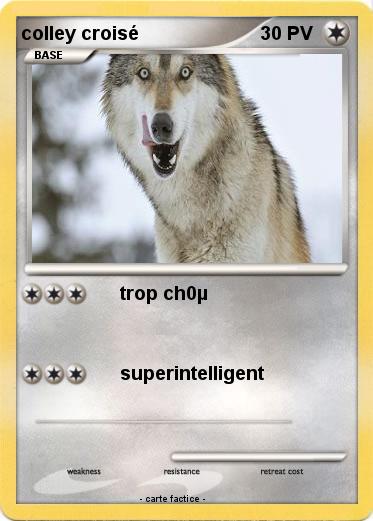 Pokemon colley croisé