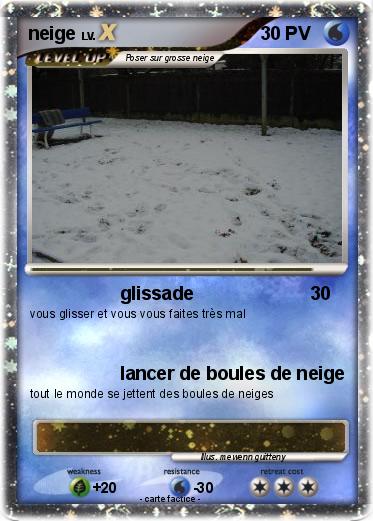 Pokemon neige