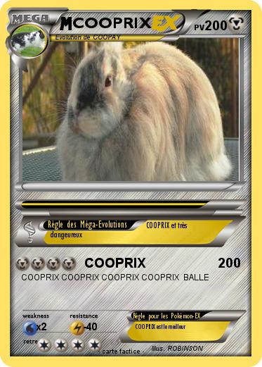 Pokemon COOPRIX