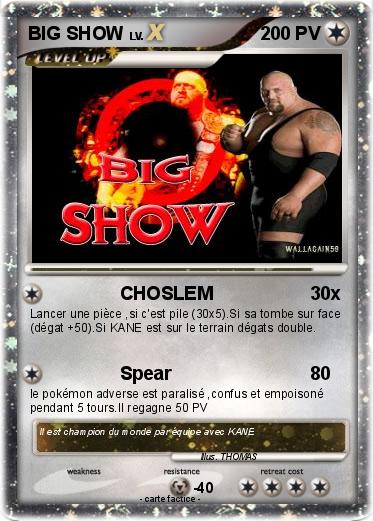 Pokemon BIG SHOW
