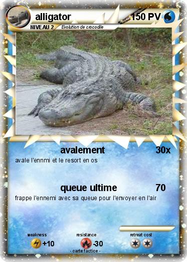 Pokemon alligator