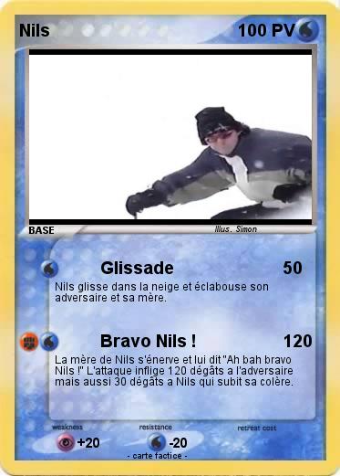 Pokemon Nils