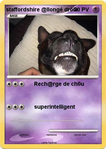 Pokemon staffordshire @llongé drôle