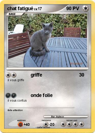 Pokemon chat fatigué