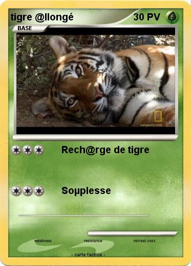 Pokemon tigre @llongé