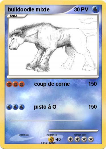 Pokemon bulldoodle mixte