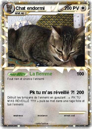 Pokemon Chat endormi