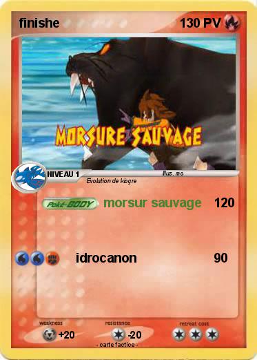 Pokemon finishe