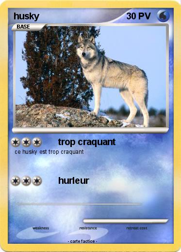 Pokemon husky